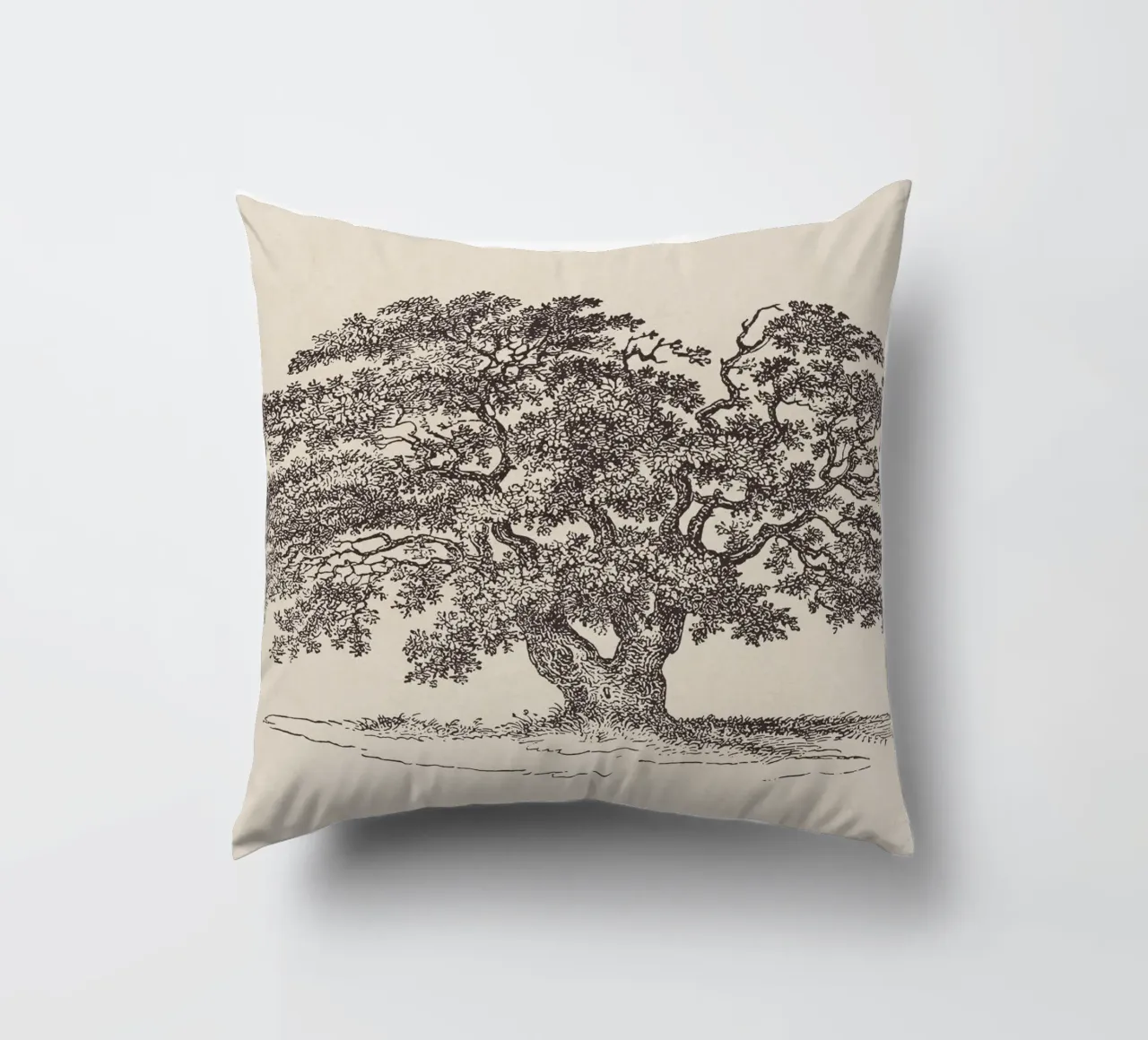 Oak Tree Sketch no. 1 cuscino da apoloprints