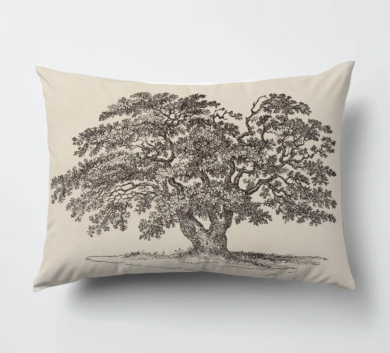 Oak Tree Sketch no. 1 cuscino da apoloprints