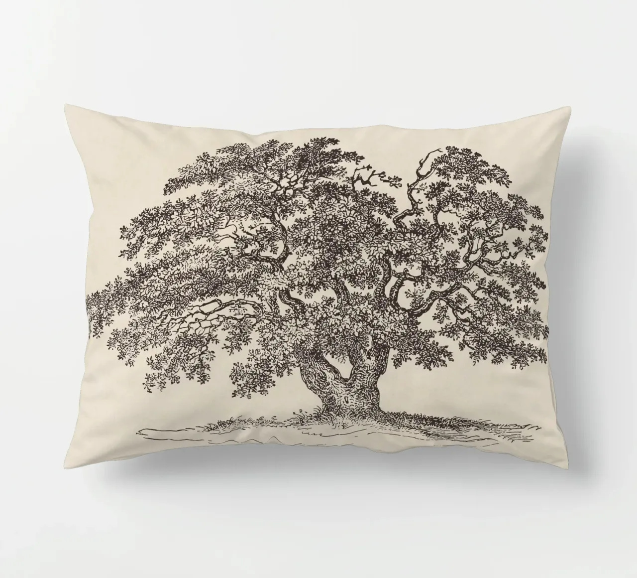 Oak Tree Sketch no. 1 cuscino da apoloprints