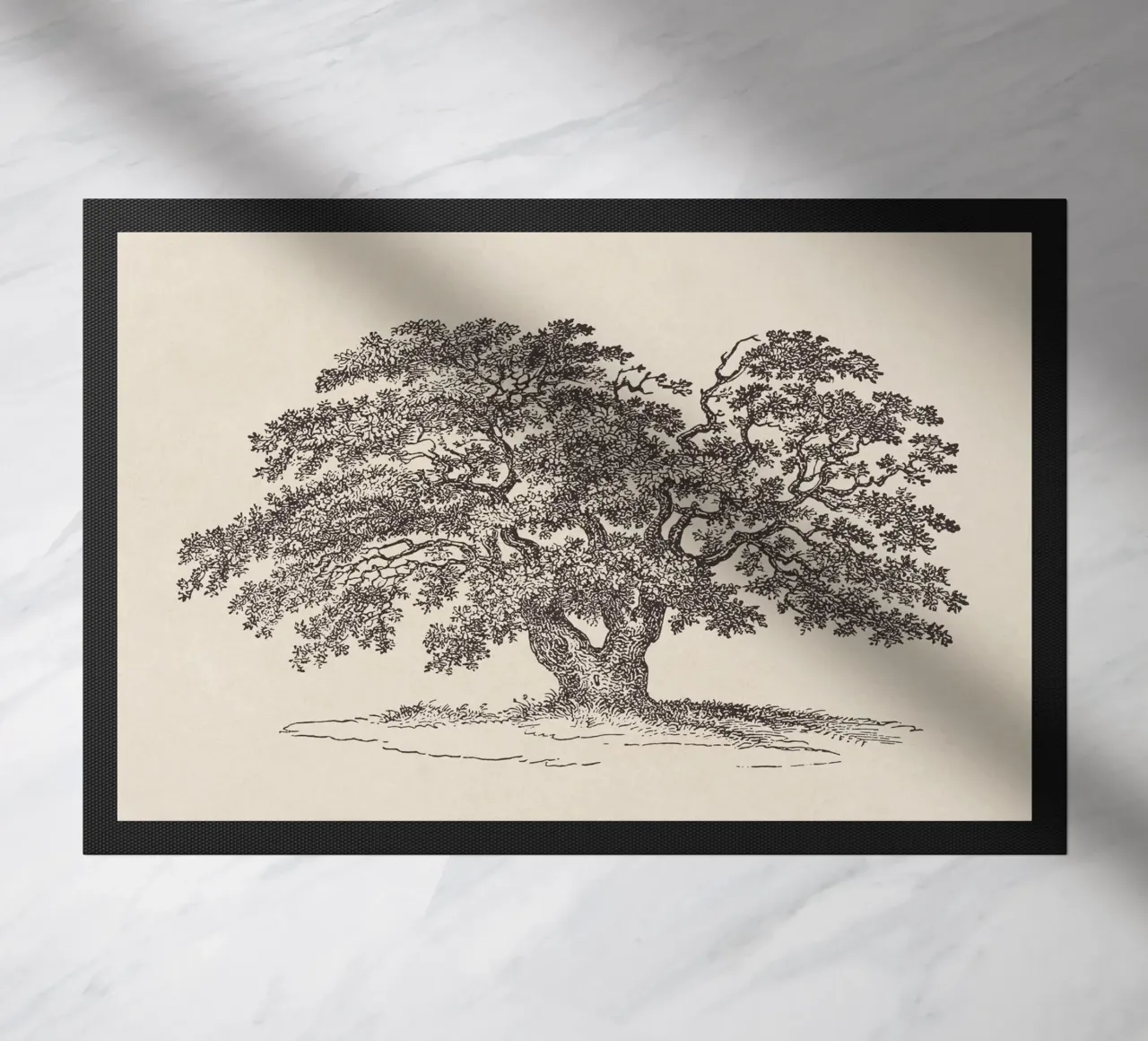 Oak Tree Sketch no. 1 zerbino da apoloprints