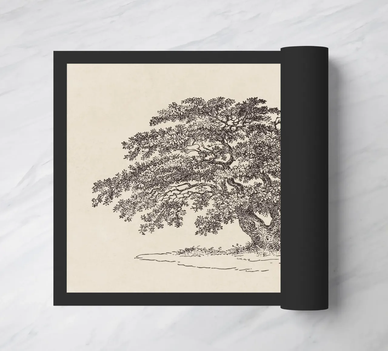 Oak Tree Sketch no. 1 zerbino da apoloprints