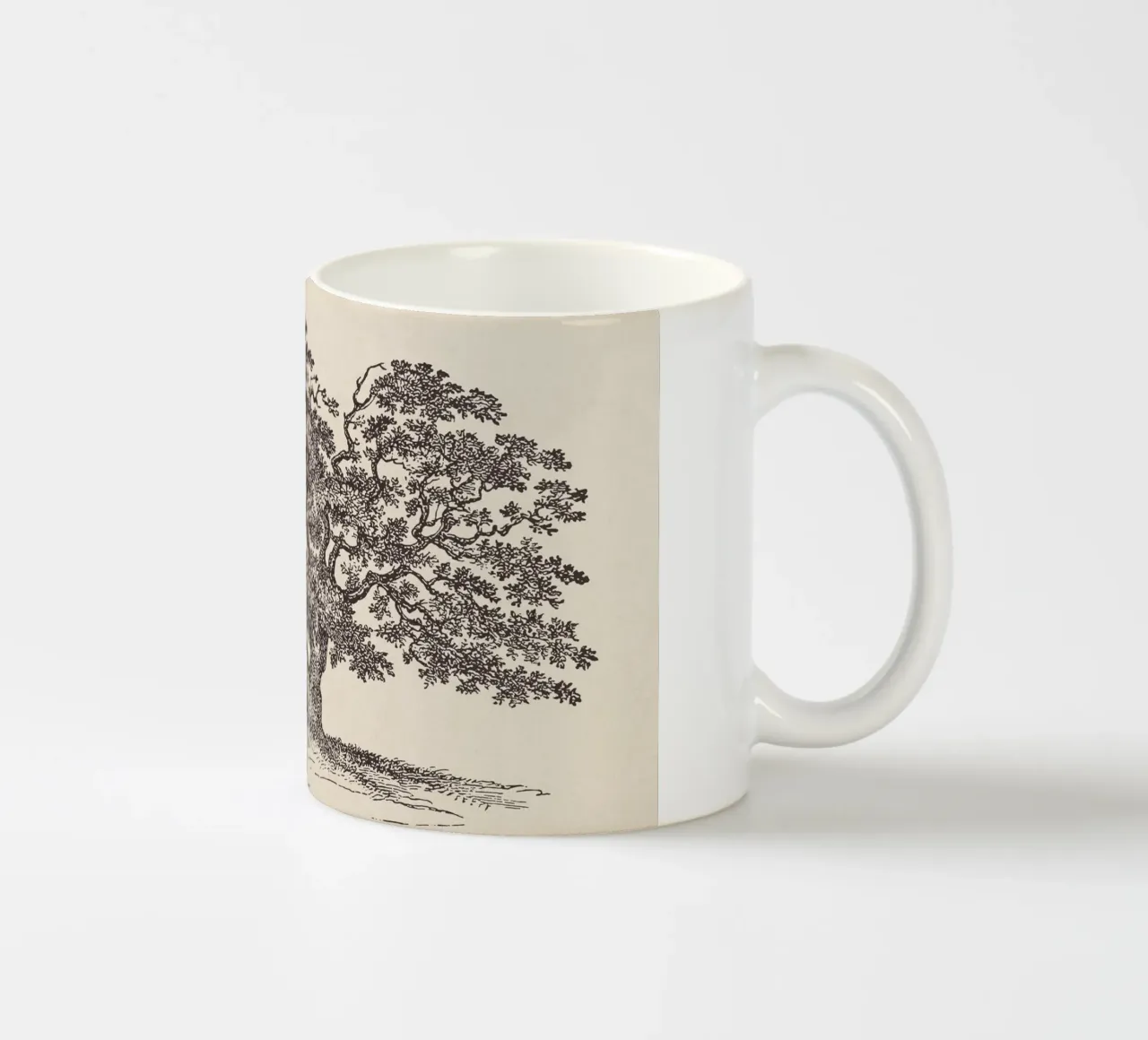 Oak Tree Sketch no. 1 taza de cerámica de apoloprints