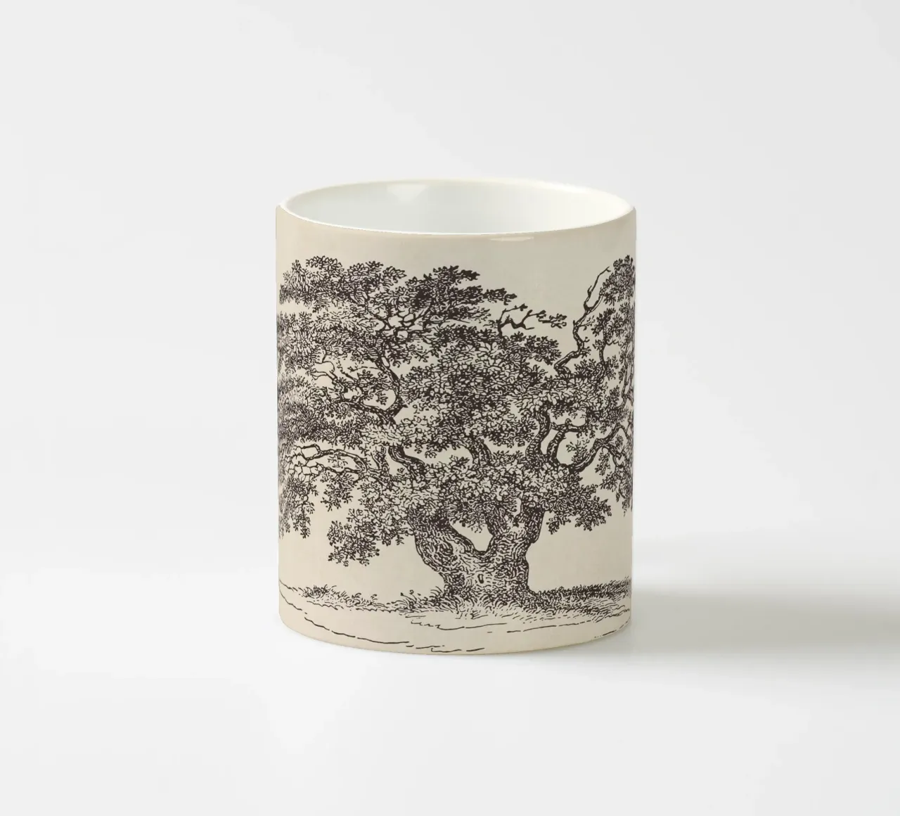 Oak Tree Sketch no. 1 tazza in ceramica da apoloprints