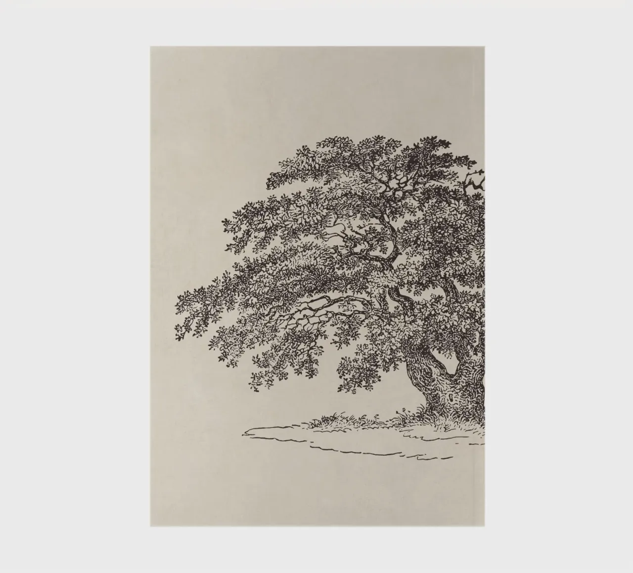 Oak Tree Sketch no. 1 notebook by apoloprints