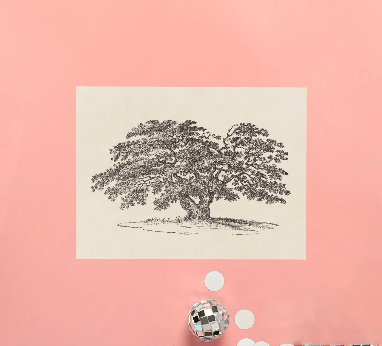Oak Tree Sketch no. 1 adesivo da apoloprints