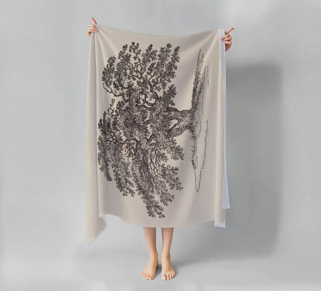 Oak Tree Sketch no. 1 telo mare da apoloprints