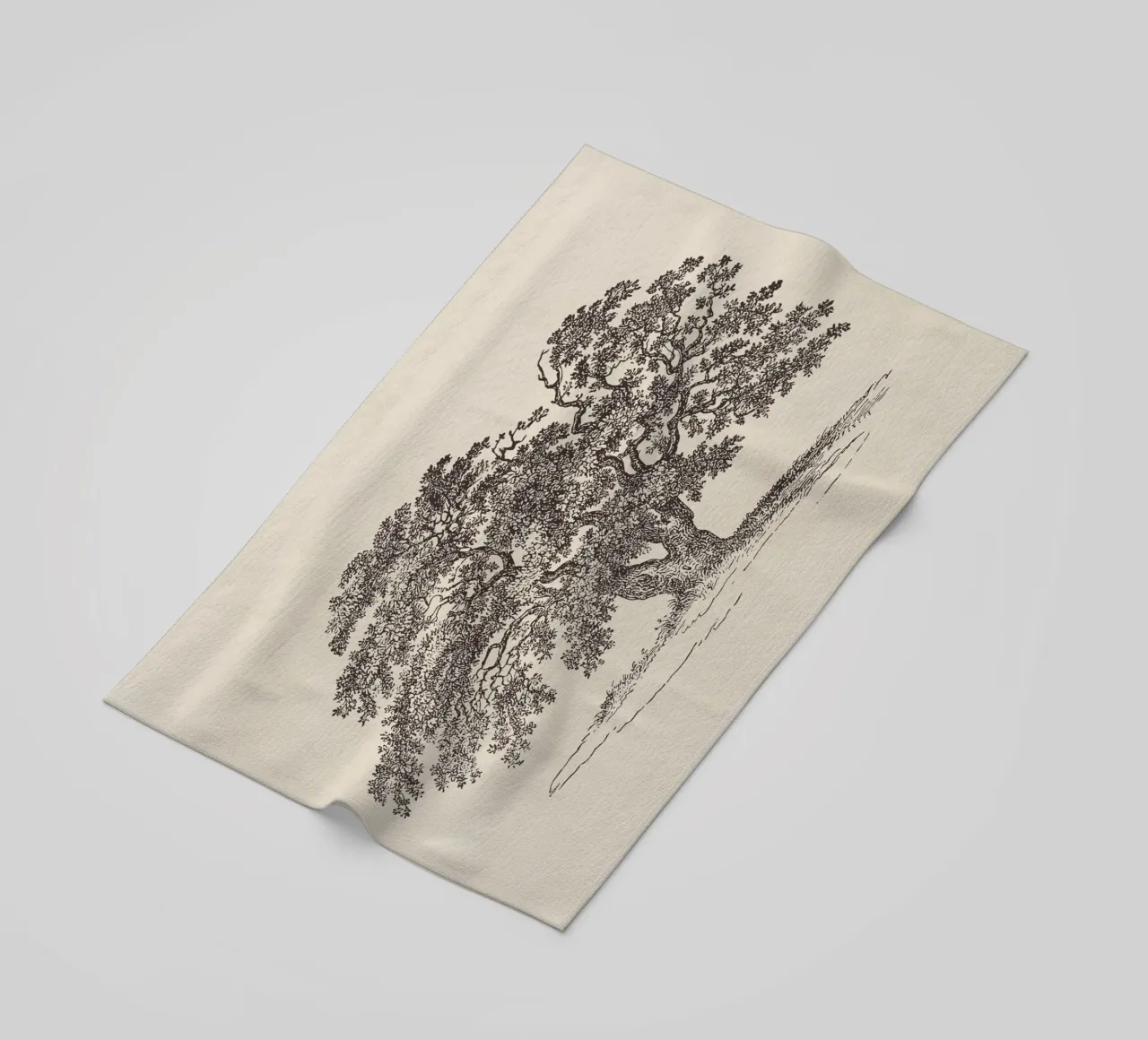 Oak Tree Sketch no. 1 telo mare da apoloprints