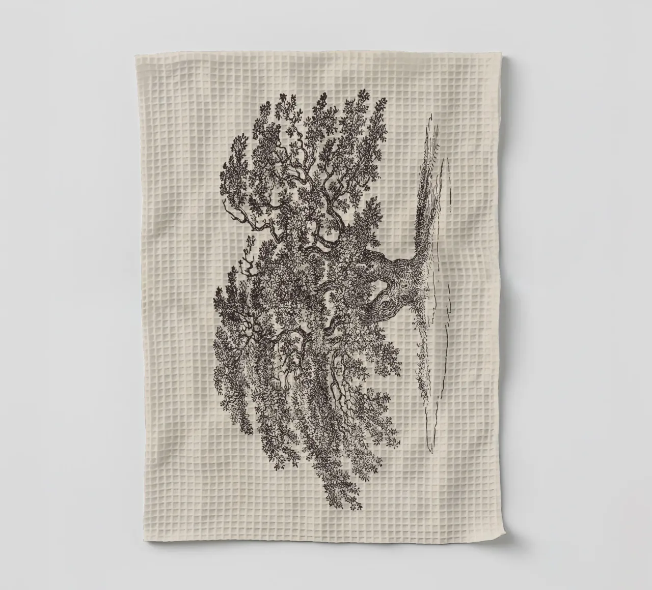 Oak Tree Sketch no. 1 canovaccio da cucina da apoloprints