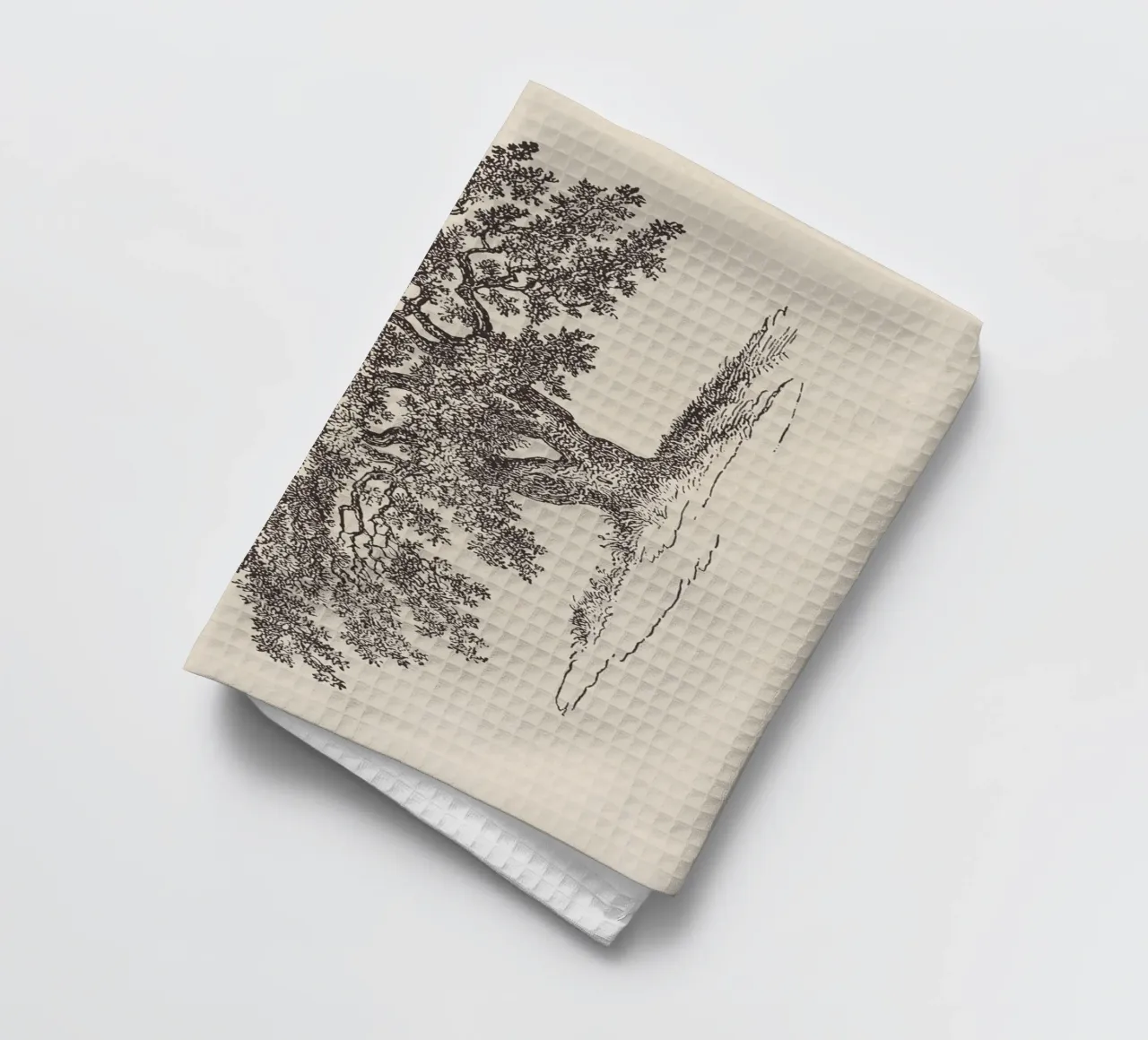 Oak Tree Sketch no. 1 canovaccio da cucina da apoloprints