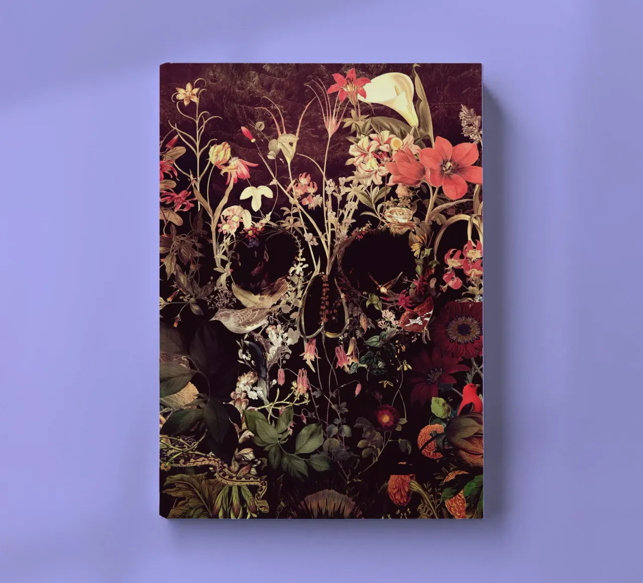 Bloom Skull diario da Ali Gulec