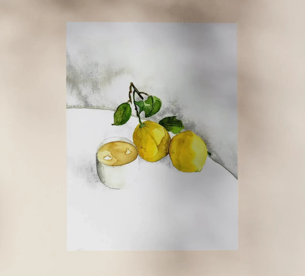 Limoni pellicola backlit da Oscar Shaw