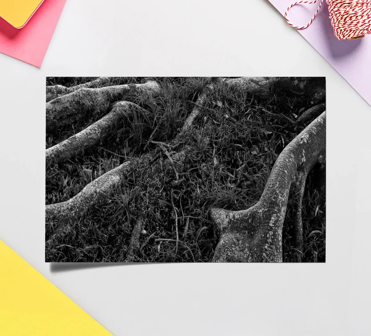 Roots I sticker sheet by Tal Paz-Fridman