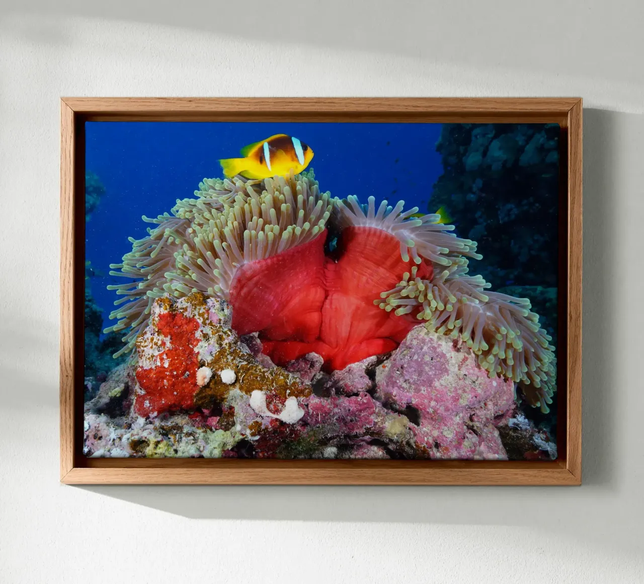 Liquid Realms canvas with Floater frame by StillVibe Home