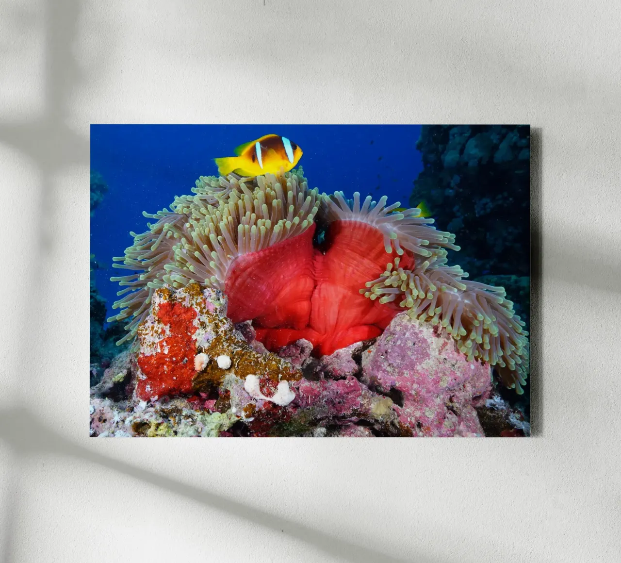 Liquid Realms canvas with Floater frame by StillVibe Home