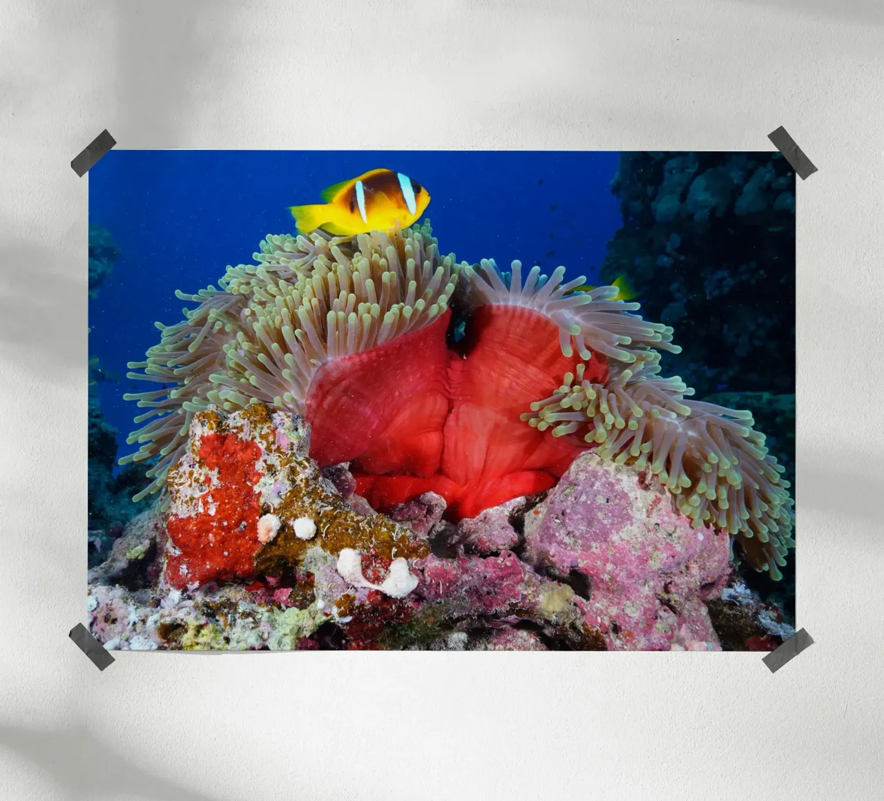 Regni liquidi poster da StillVibe Home