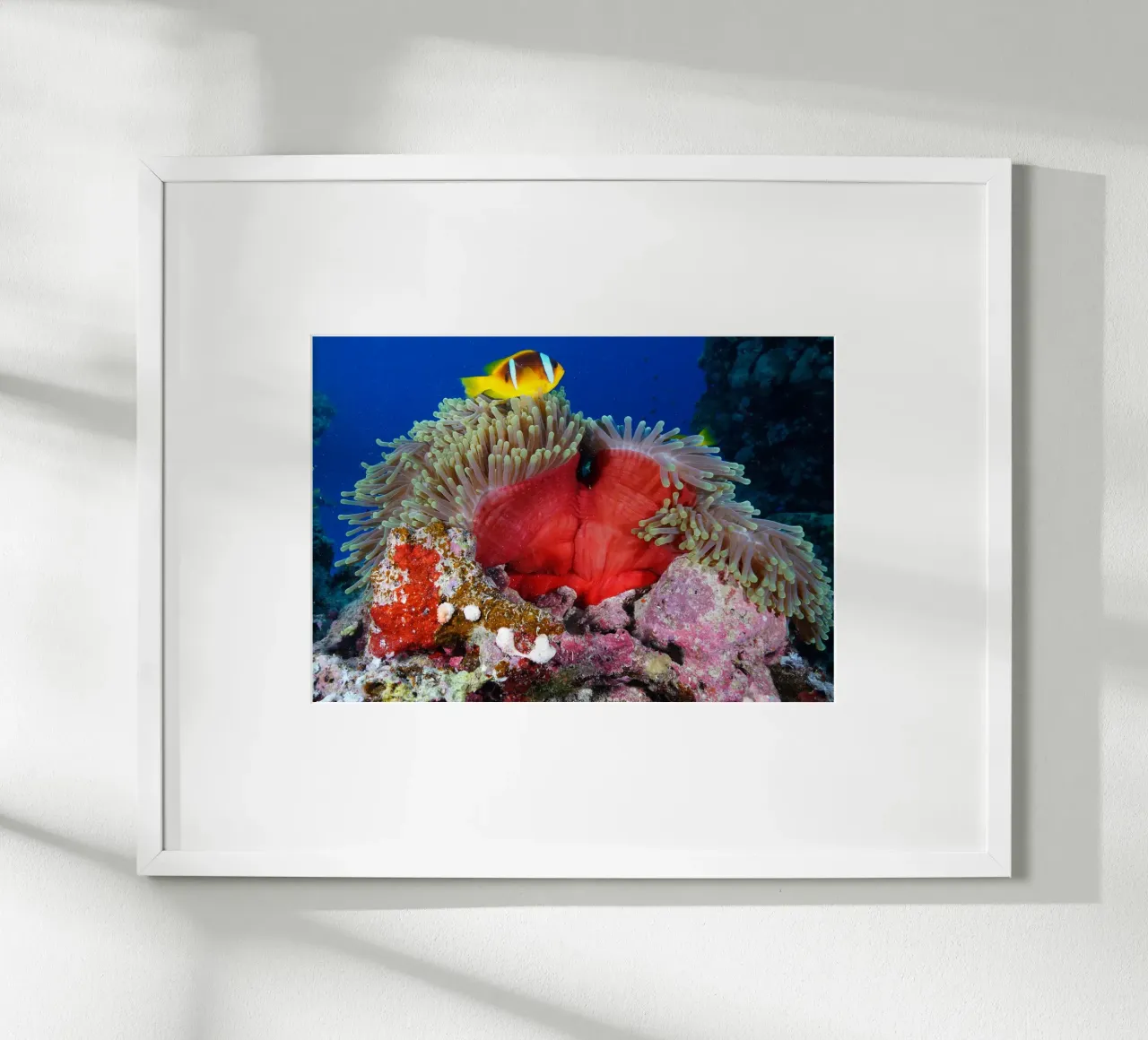 Regni liquidi poster da StillVibe Home