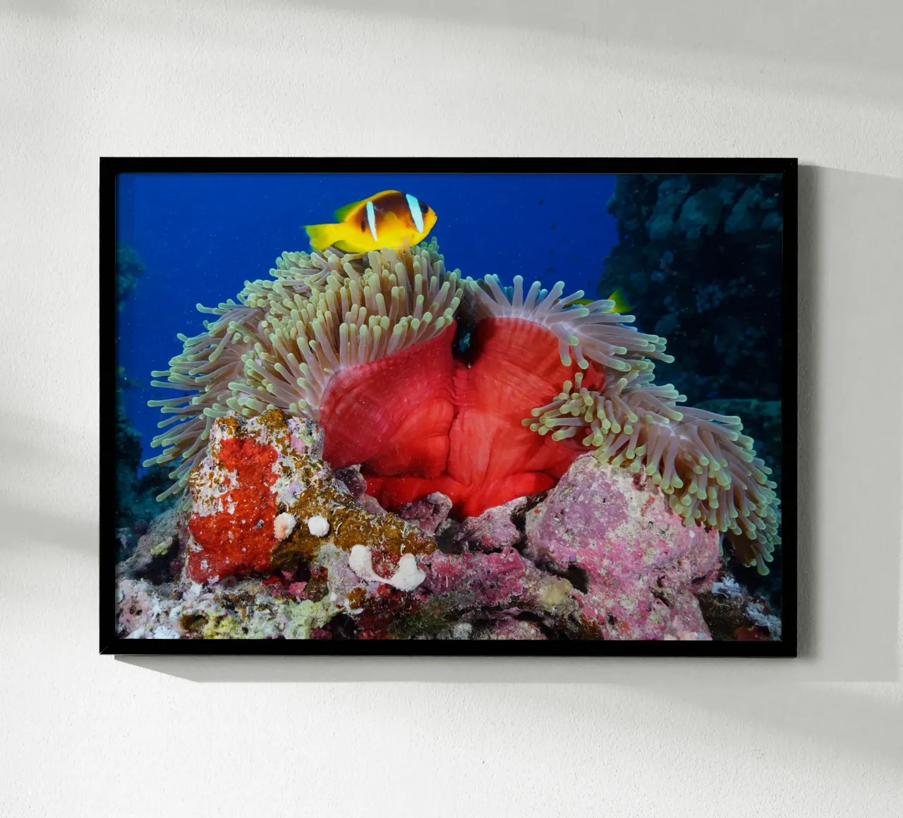Regni liquidi poster da StillVibe Home