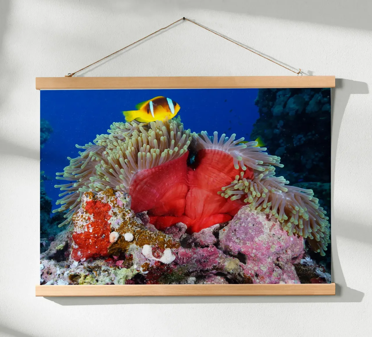 Regni liquidi poster da StillVibe Home
