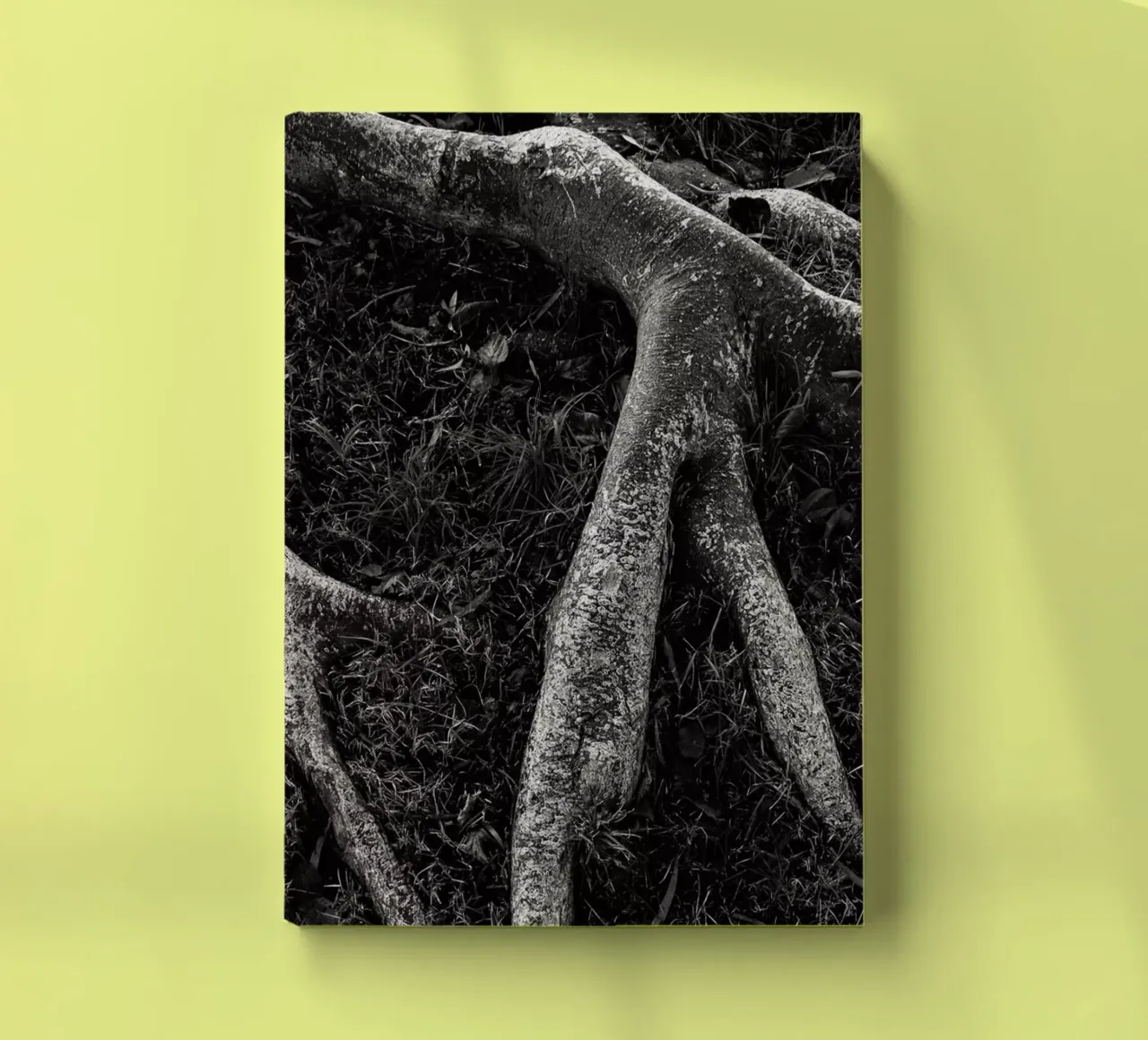 Roots II notebook by Tal Paz-Fridman