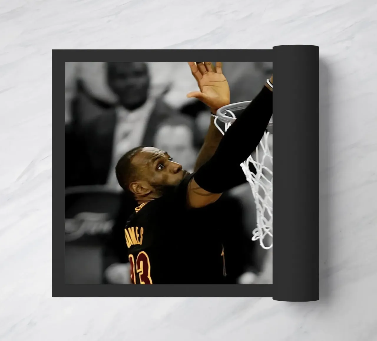 Lebron James, The Block zerbino da willtahuyshop