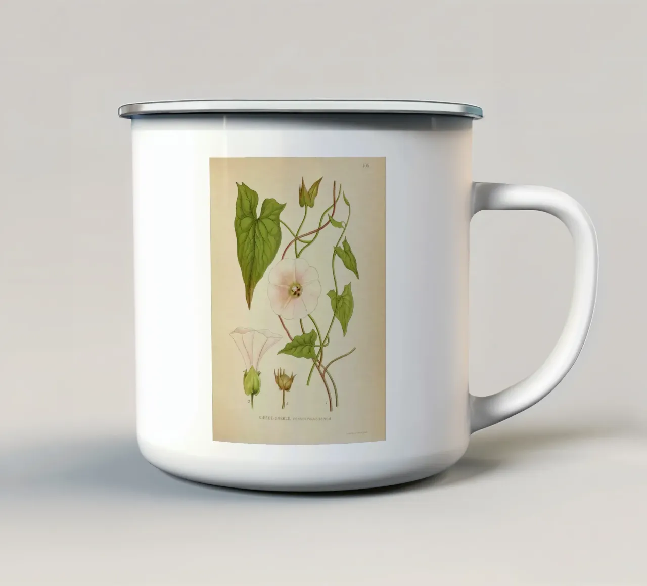 Dainty tazza in smalto da vintagebotanics