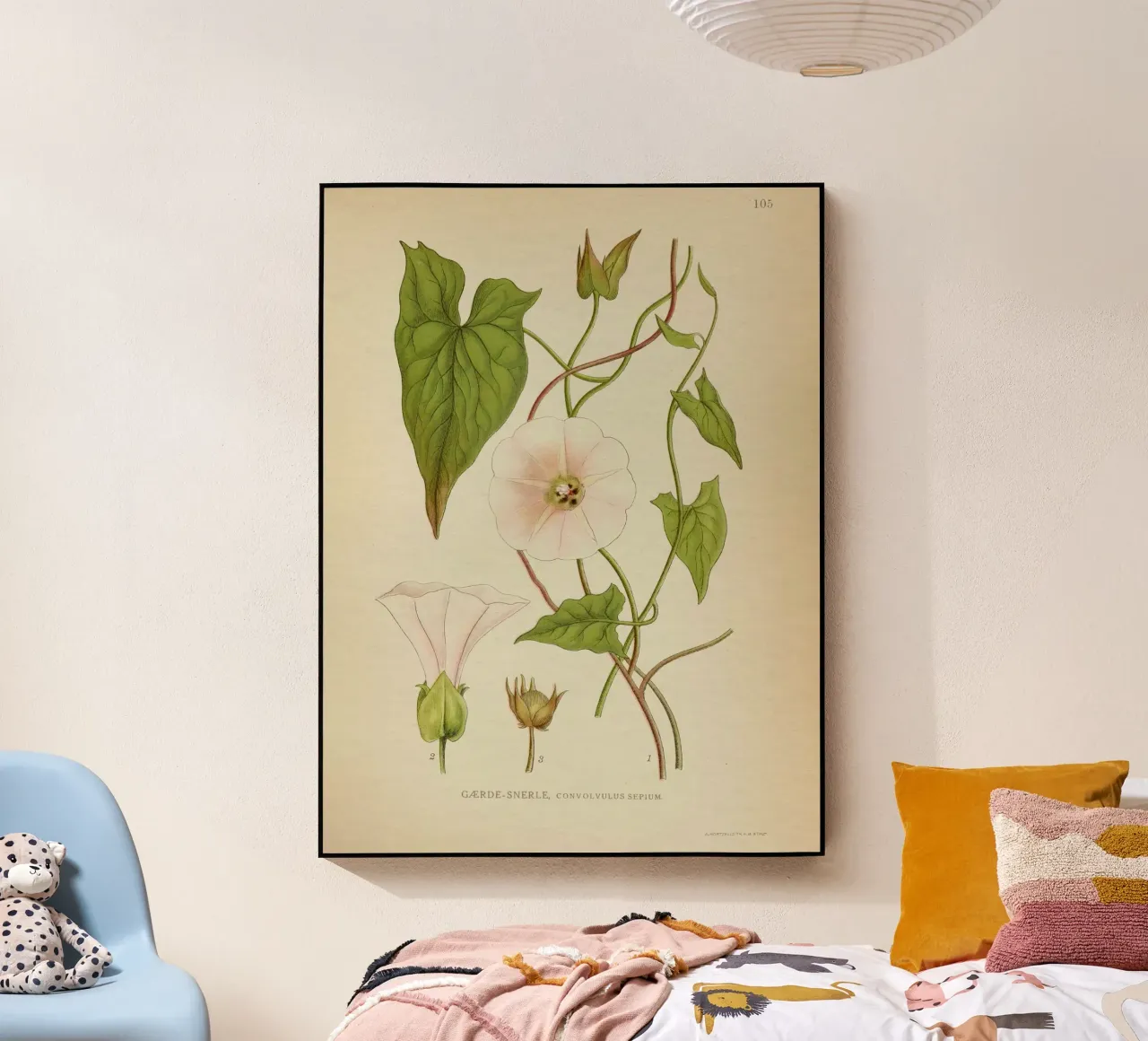 Dainty plexiglass da vintagebotanics