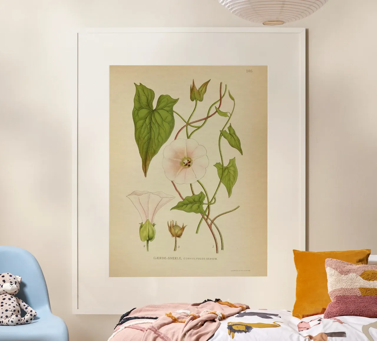 Dainty poster da vintagebotanics