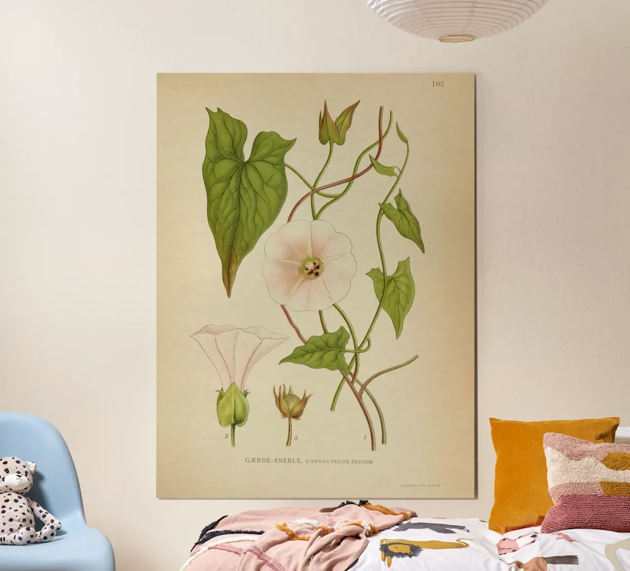 Dainty poster da vintagebotanics