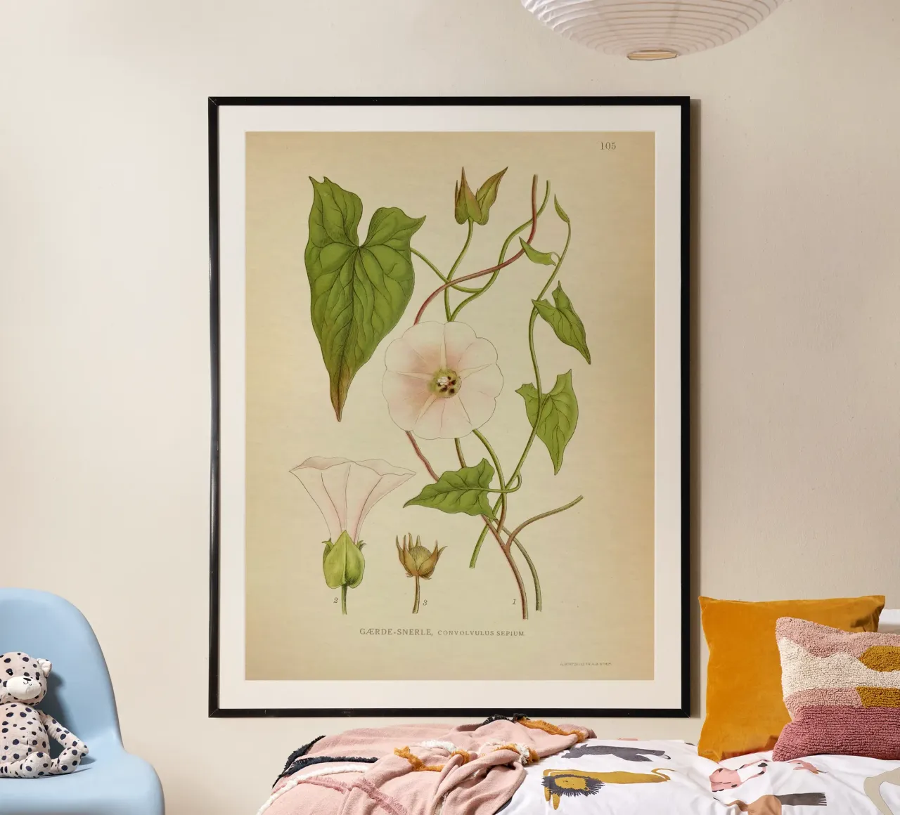 Dainty poster da vintagebotanics