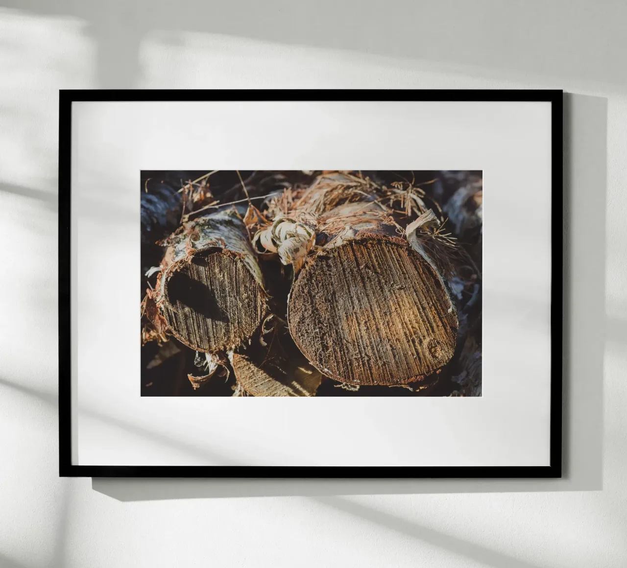 Echi di legno poster da StillVibe Home