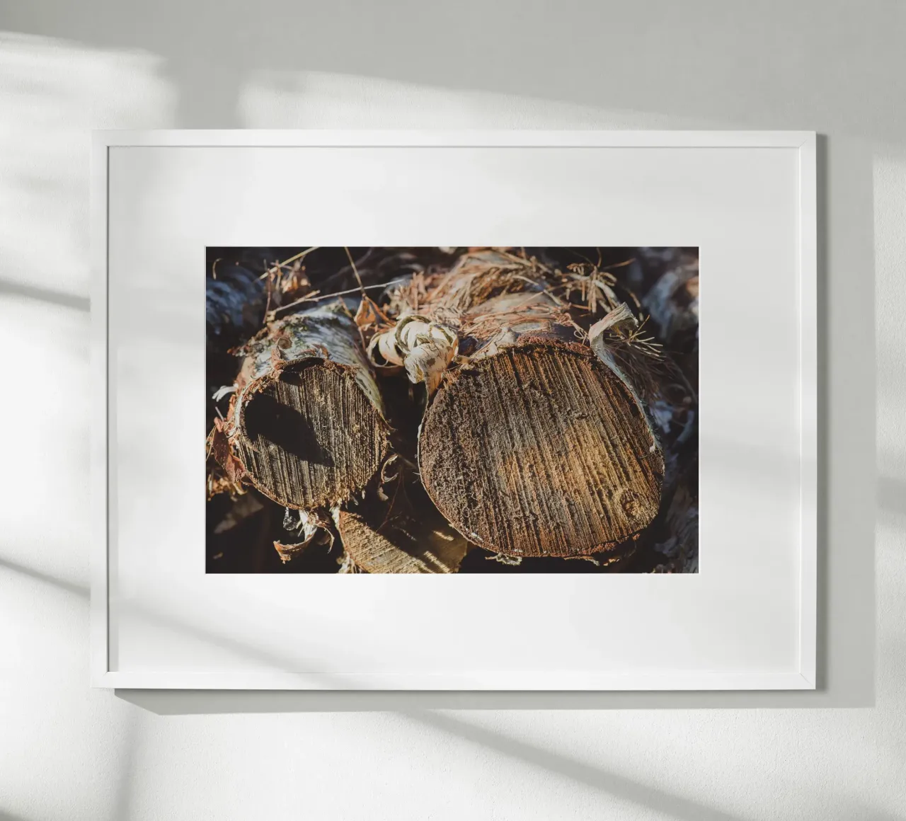 Echi di legno poster da StillVibe Home