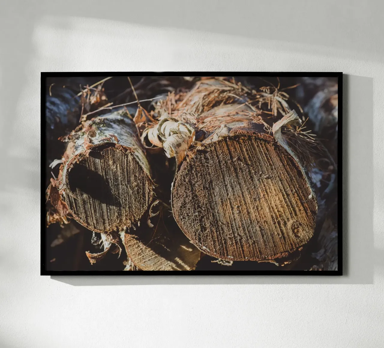 Echi di legno poster da StillVibe Home