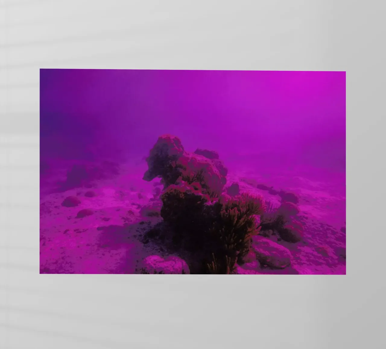 Untitled_4 pellicola backlit da James Cooper