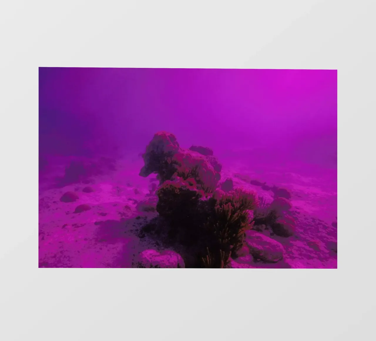 Untitled_4 pellicola backlit da James Cooper