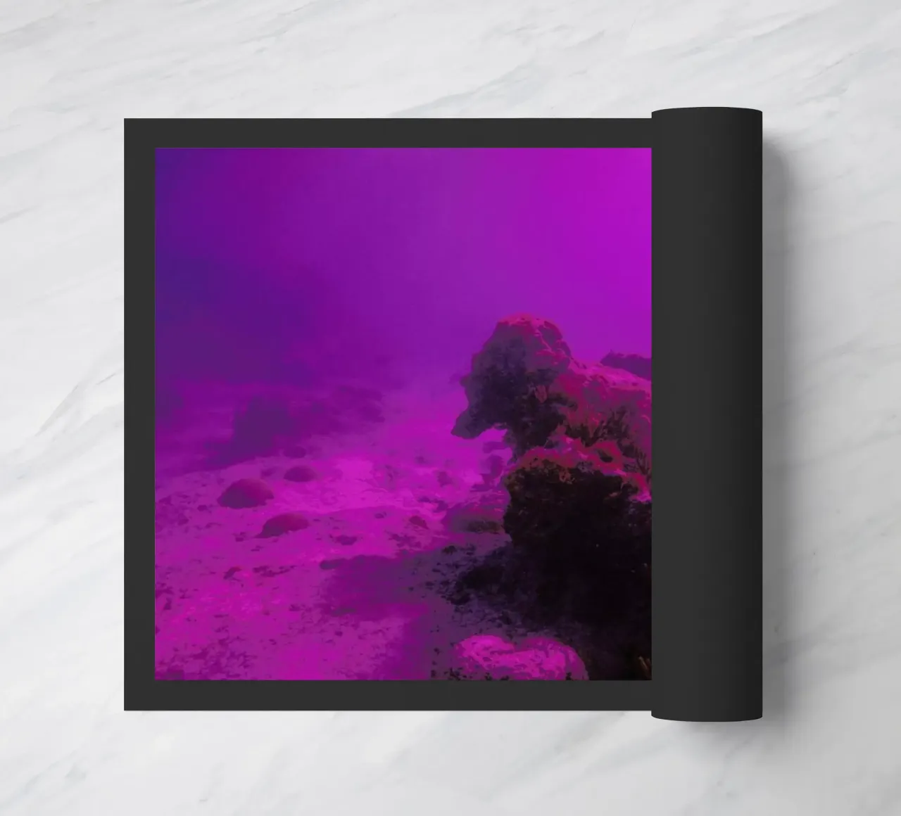 Untitled_4 zerbino da James Cooper