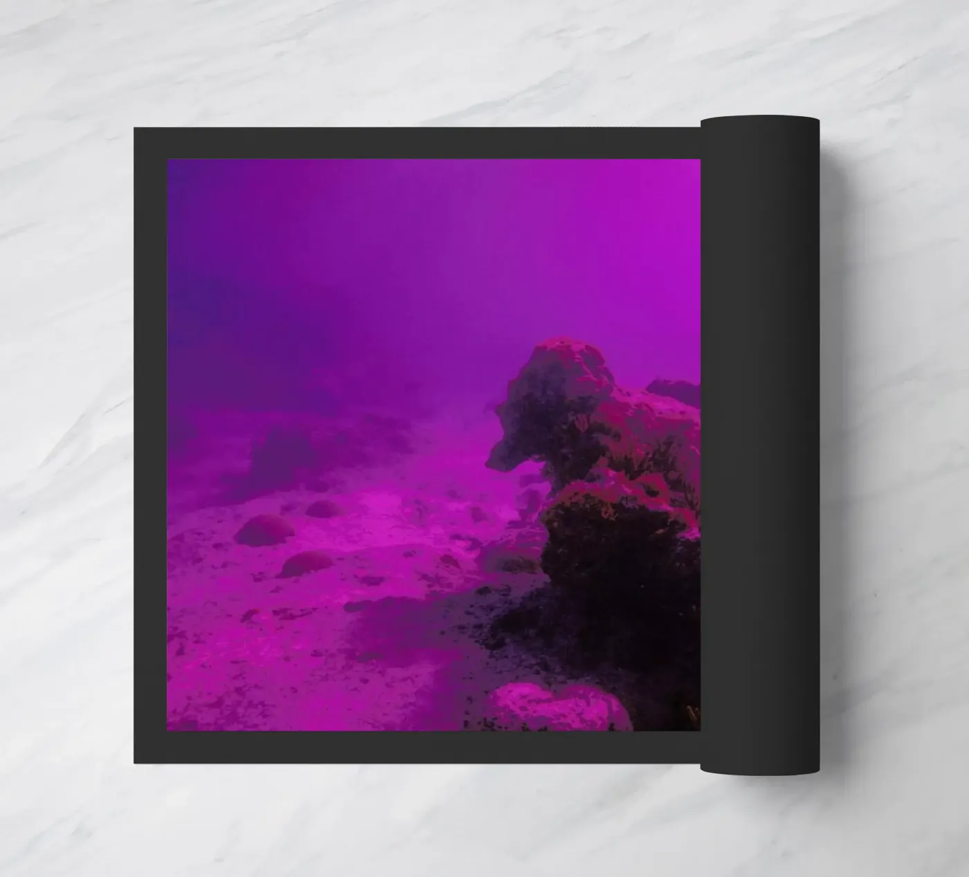 Untitled_4 zerbino da James Cooper