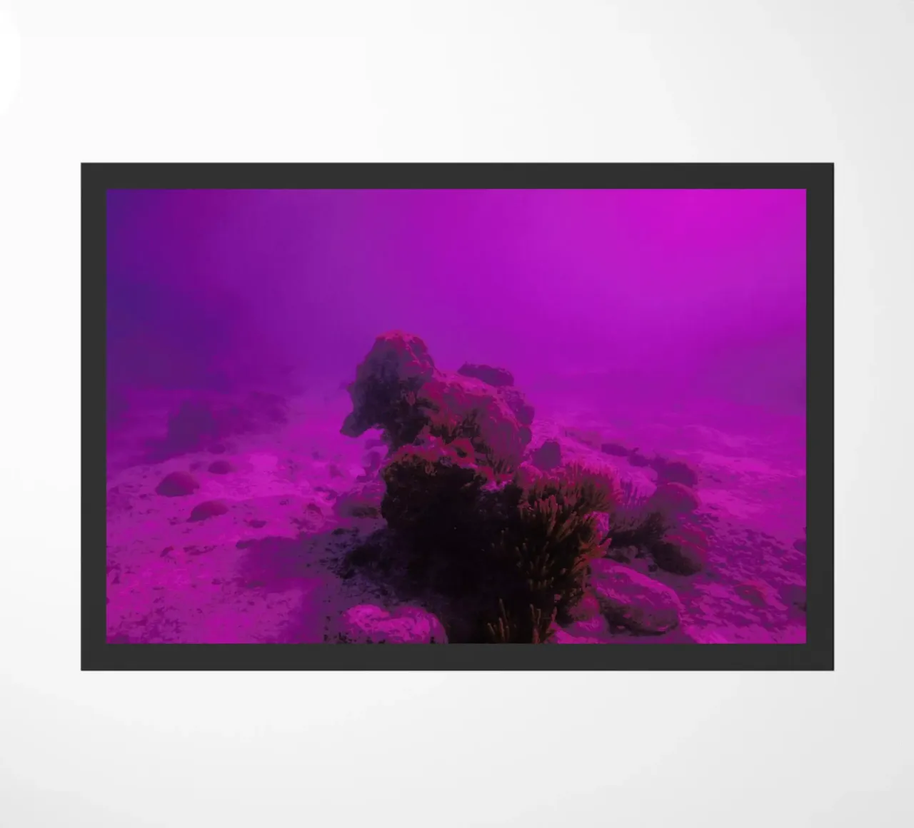 Untitled_4 zerbino da James Cooper