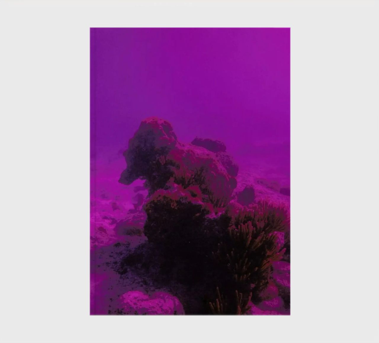 Untitled_4 notebook by James Cooper