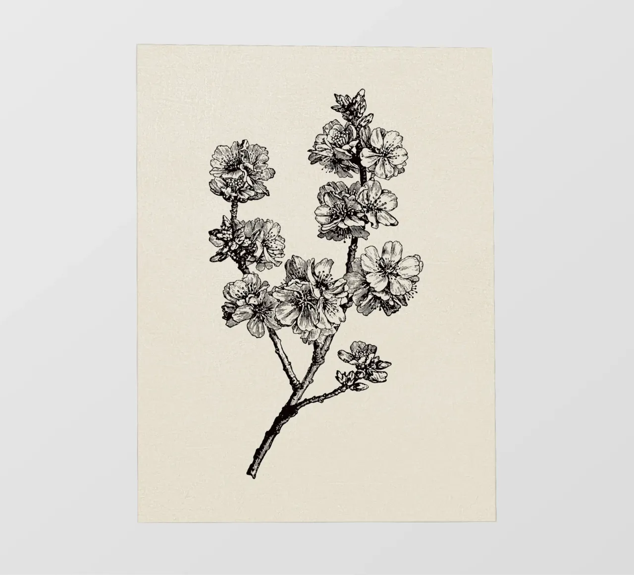Apple Blossom Sketch no. 1 telo in pvc da apoloprints