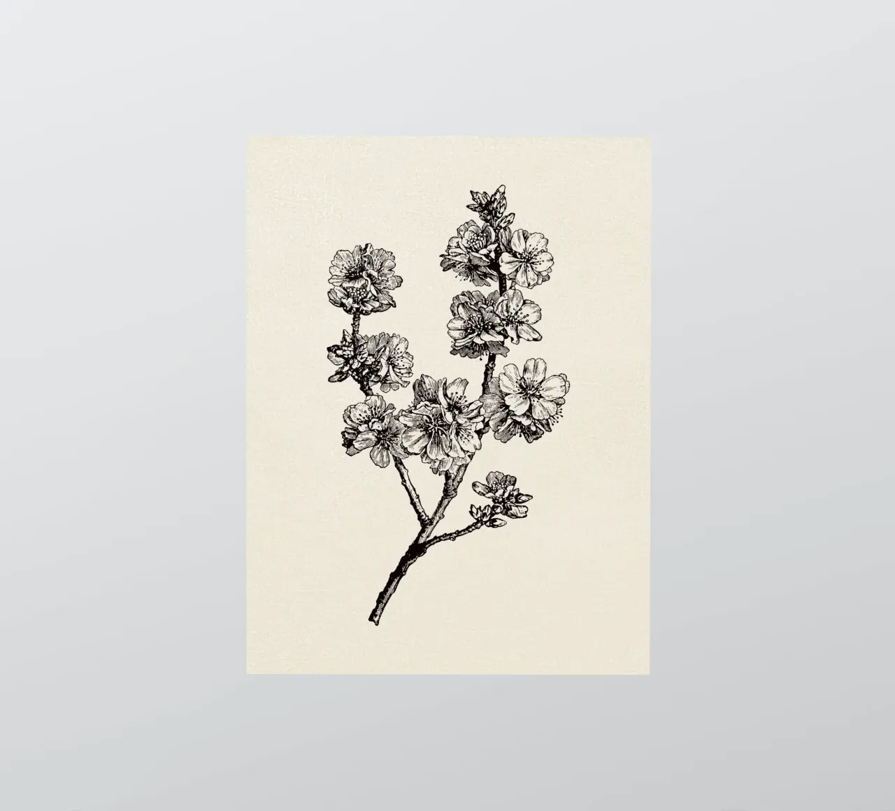 Apple Blossom Sketch no. 1 Sticker von apoloprints