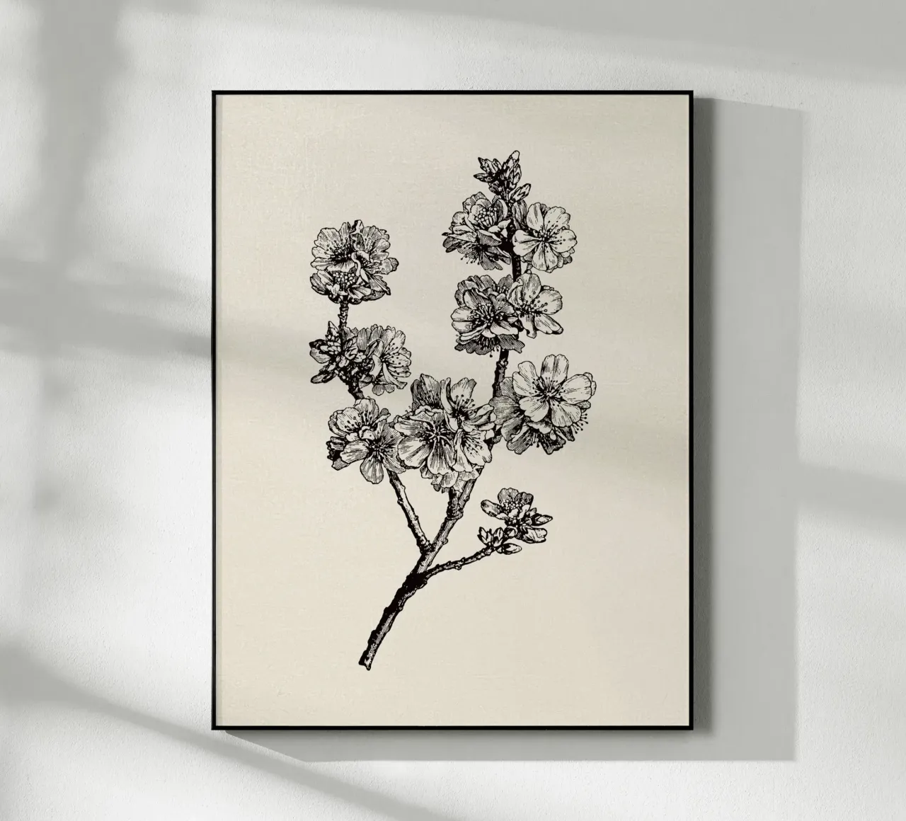 Apple Blossom Sketch no. 1 plexiglass da apoloprints