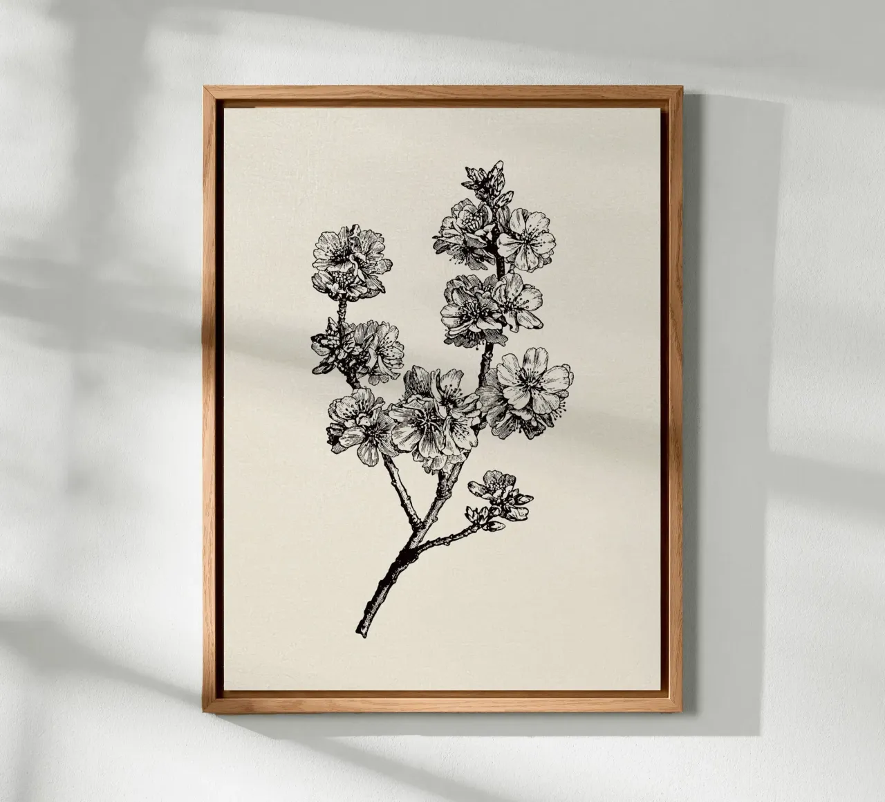 Apple Blossom Sketch no. 1 alluminio dibond da apoloprints
