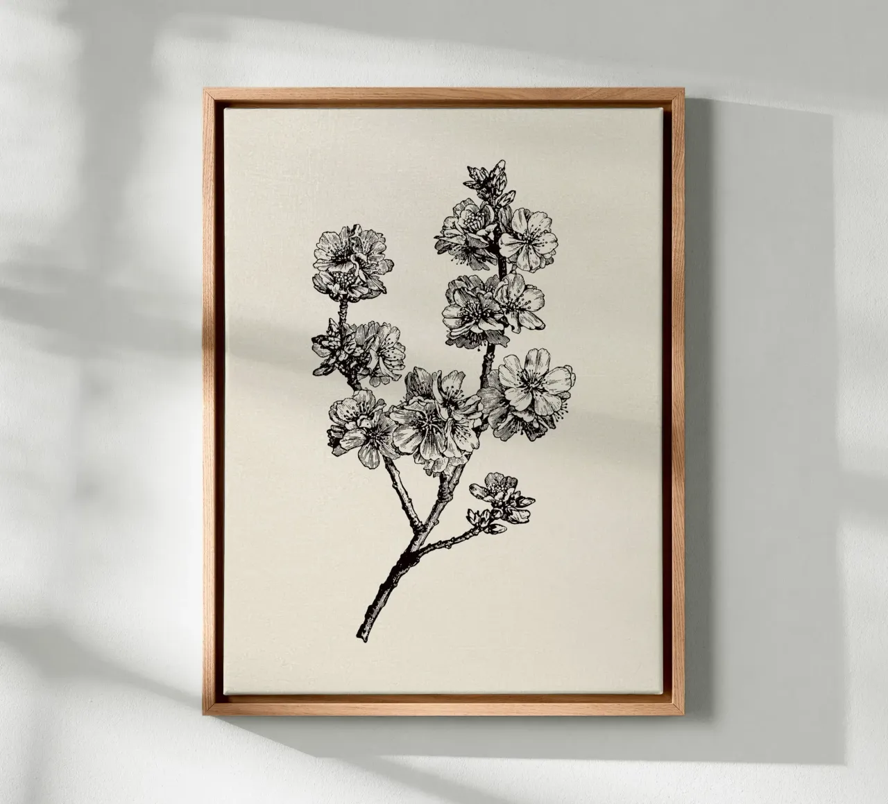 Apple Blossom Sketch no. 1 canvas met Baklijst van apoloprints