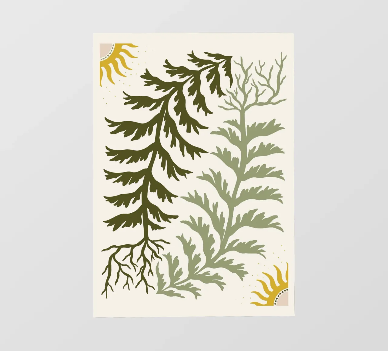 Sun and Seaweed pellicola backlit da vintageshop