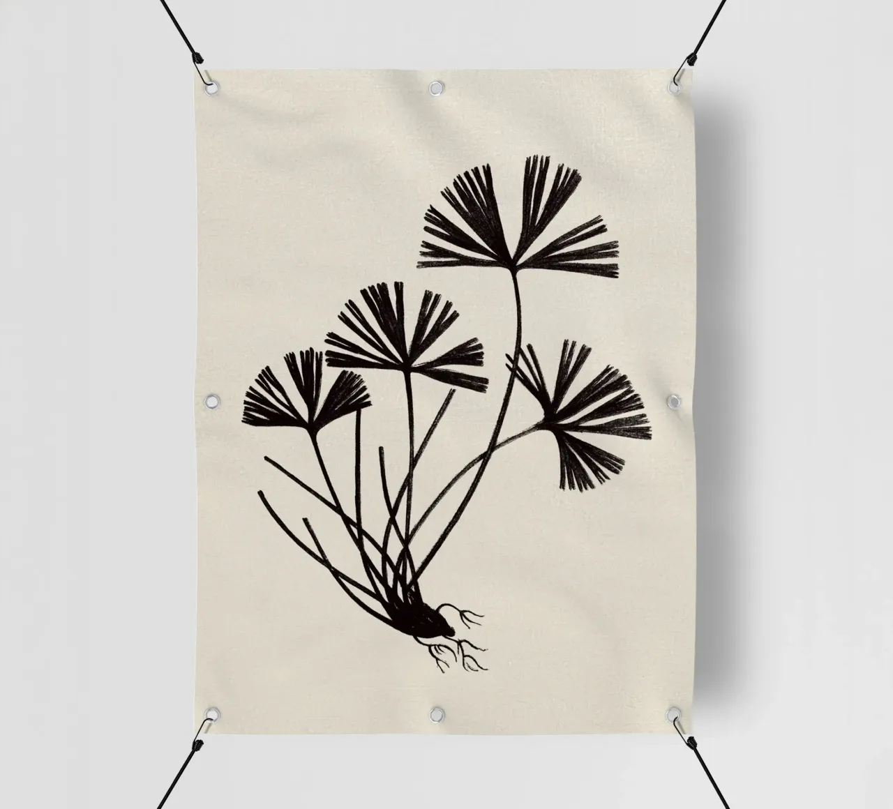 Ray Fern Sketch telo in pvc da apoloprints
