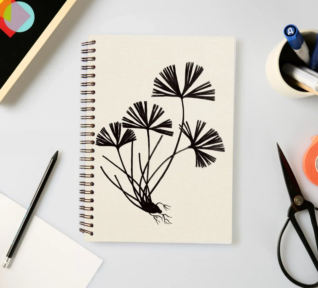 Ray Fern Sketch diario ad anelli da apoloprints