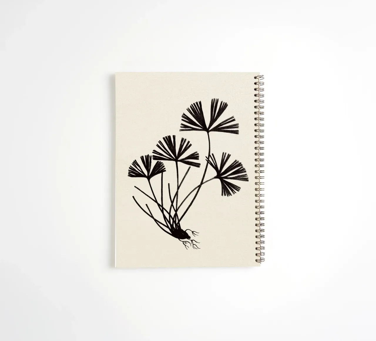 Ray Fern Sketch diario ad anelli da apoloprints