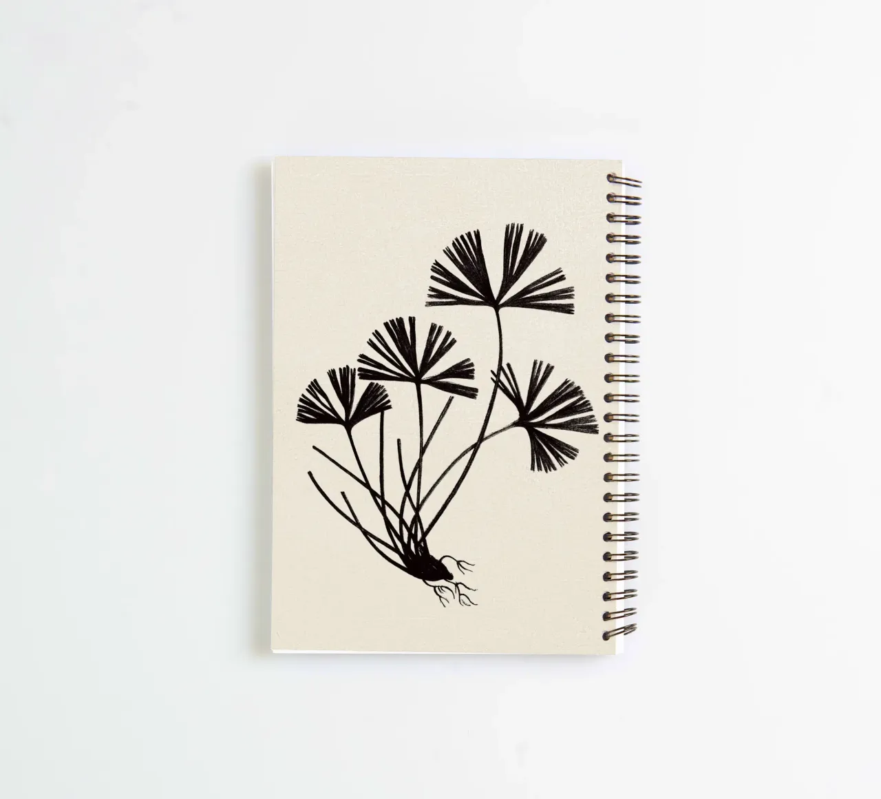 Ray Fern Sketch diario ad anelli da apoloprints