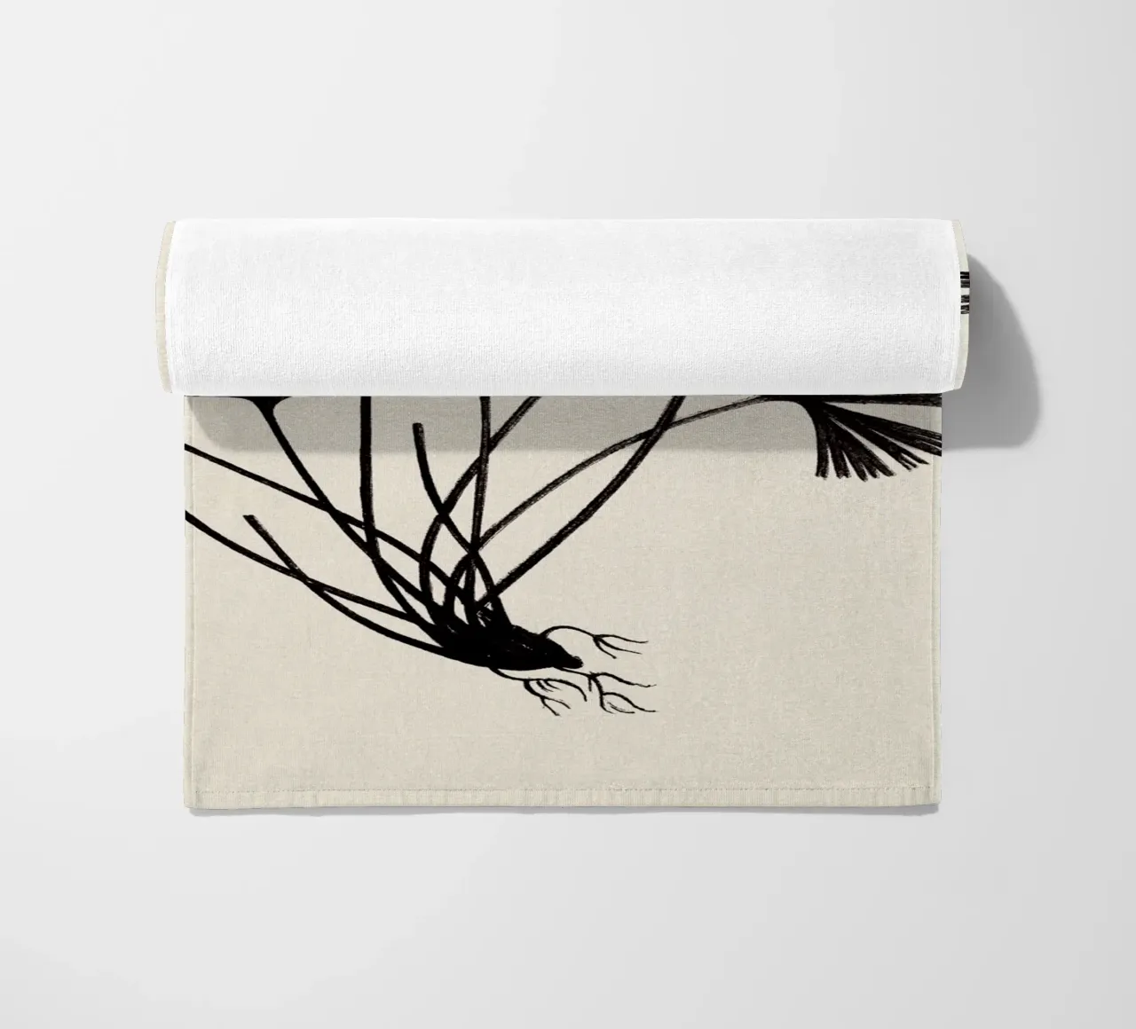 Ray Fern Sketch telo mare da apoloprints