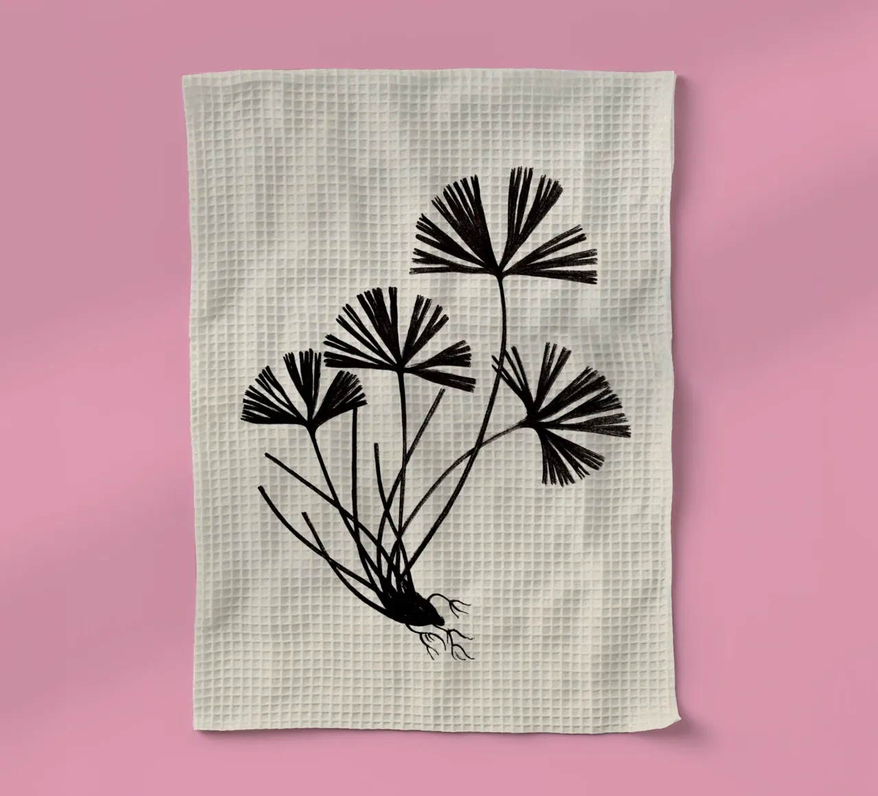 Ray Fern Sketch canovaccio da cucina da apoloprints